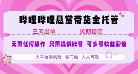 2025年B站风口带货项目 仅需提供账号 全程托管 轻松月入1w+-优优云网创