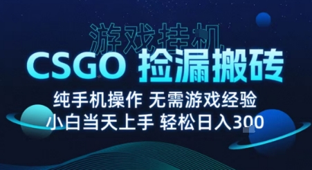 8月最新游戏搬砖,CSGO纯挂G,不需要玩游戏,实现真挂G,月入1W+【揭秘】