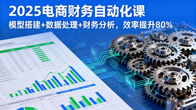 2025电商财务自动化课,模型搭建+数据处理+财务分析,效率提升80%-优优云网创