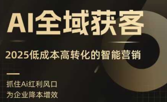 AI全域获客实训营，2025低成本高转化的智能营销，精准找客，高效营销-优优云网创