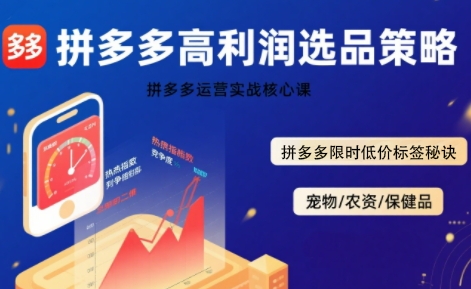 拼多多选品暴利技术实战课，拼多多高利润选品策略，拼多多限时低价标签秘诀-优优云网创
