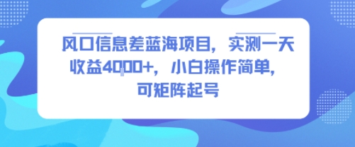 风口信息差蓝海项目，实测一天收益4k+，小白操作简单，可矩阵起号-优优云网创