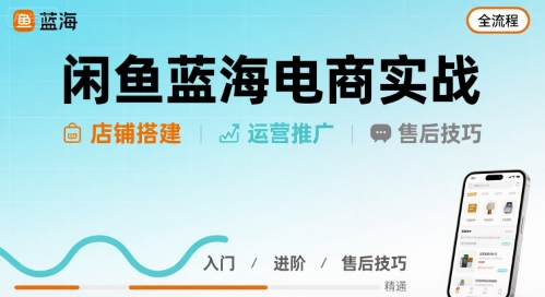 闲鱼蓝海电商实战,店铺搭建运营售后全流程-优优云网创