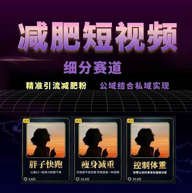 图片[2]-减肥短视频运营实战课：含素材制作、剪映教学，讲精准引流、变现设计与内容模板技巧-优优云网创