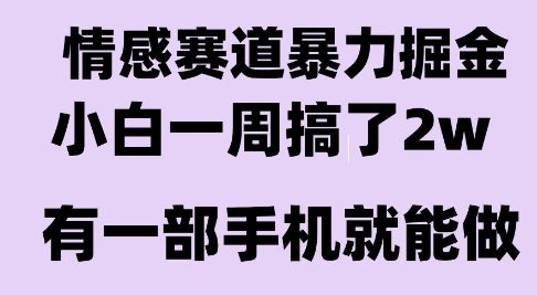 情感暴力掘金项目,新人操作一周挣了2W,长期稳定小白可做【揭秘】-优优云网创