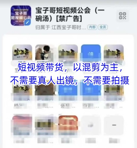 宝子哥头部团队短视频带货，以混剪为主，不需要真人出镜，不需要拍摄【更新9月】-优优云网创