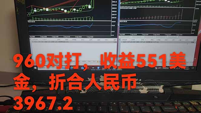 图片[1]-稳定8年的美刀搬砖项目，单人每日收益800—3000.团队4人月入10W+.可线下-优优云网创