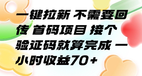 一键拉新 不需要回传 首码项目 接个验证码就算完成 一小时收益70+【揭秘】-优优云网创